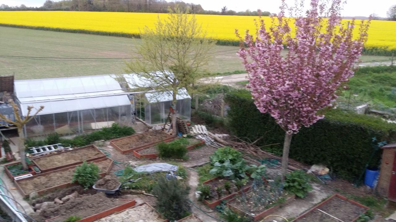 Crecy-la-Chapelle Les Nympheas, Appart Au Calme Et Grand Jardin A 15 Min De Disneyland, מראה חיצוני תמונה